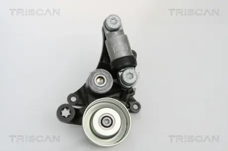Натяжная планка, поликлиновой ремень TRISCAN 8641233010