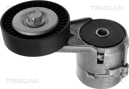 Натяжная планка, поликлиновой ремень TRISCAN 8641243005