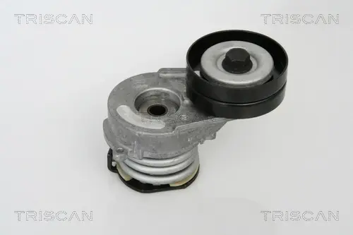 Натяжная планка, поликлиновой ремень TRISCAN 8641243009 (фото 1)