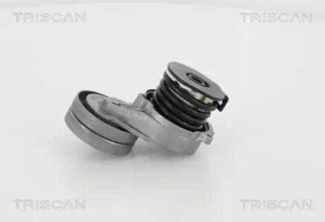 Натяжная планка, поликлиновой ремень TRISCAN 8641243011