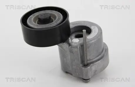 Натяжная планка, поликлиновой ремень TRISCAN 8641243012