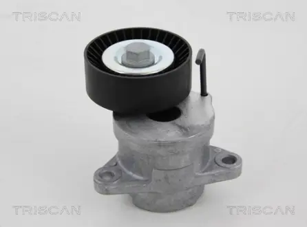 Натяжная планка, поликлиновой ремень TRISCAN 8641243013