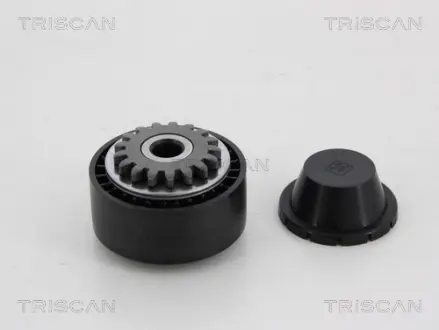 Натяжной ролик, поликлиновой ремень TRISCAN 8641252020