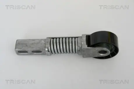 Натяжная планка, поликлиновой ремень TRISCAN 8641253004