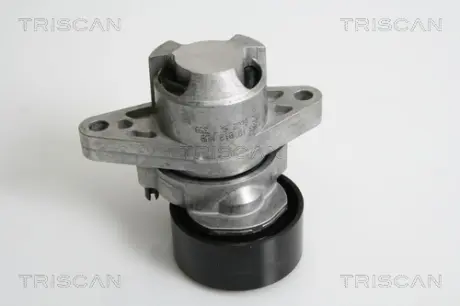Натяжная планка, поликлиновой ремень TRISCAN 8641253008