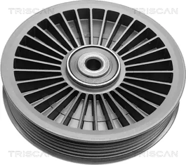 Паразитный / ведущий ролик, поликлиновой ремень TRISCAN 8641272001