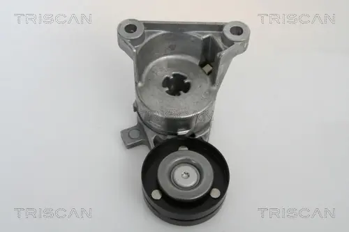 Натяжная планка, поликлиновой ремень TRISCAN 8641273003 (фото 1)