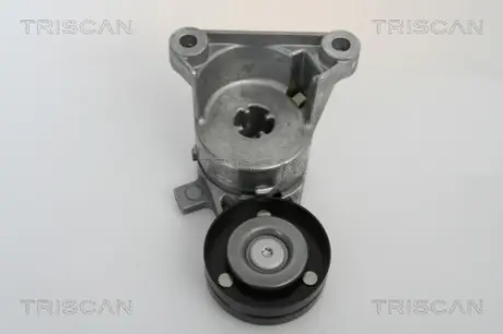 Натяжная планка, поликлиновой ремень TRISCAN 8641273003