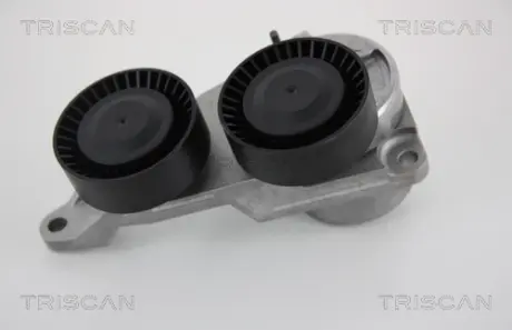Натяжная планка, поликлиновой ремень TRISCAN 8641273004