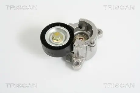 Натяжная планка, поликлиновой ремень TRISCAN 8641281023