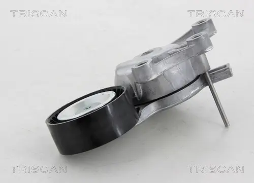 Натяжной ролик, поликлиновой ремень TRISCAN 8641281027 (фото 1)