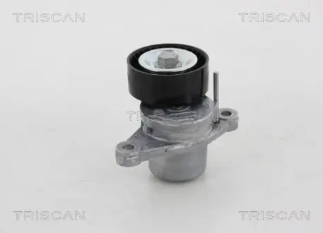 Натяжной ролик, поликлиновой ремень TRISCAN 8641281028
