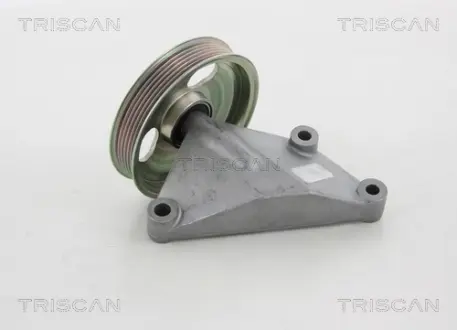 Паразитный / ведущий ролик, поликлиновой ремень TRISCAN 8641282021