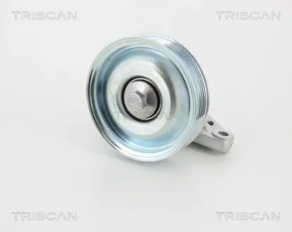 Паразитный / ведущий ролик, поликлиновой ремень TRISCAN 8641282022