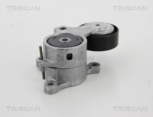 Натяжная планка, поликлиновой ремень TRISCAN 8641283008 (фото 1)