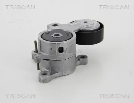 Натяжная планка, поликлиновой ремень TRISCAN 8641283008