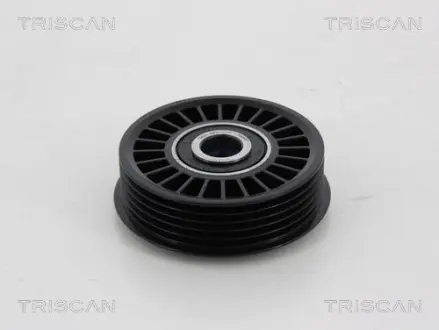 Паразитный / ведущий ролик, поликлиновой ремень TRISCAN 8641291009