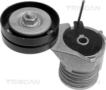 Натяжная планка, поликлиновой ремень TRISCAN 8641293002