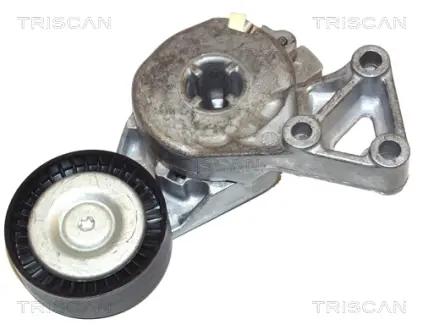Натяжная планка, поликлиновой ремень TRISCAN 8641293003
