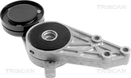 Натяжная планка, поликлиновой ремень TRISCAN 8641293006