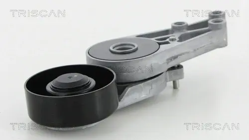 Натяжная планка, поликлиновой ремень TRISCAN 8641293009 (фото 1)