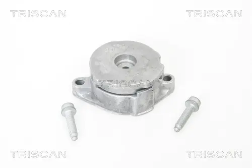 Натяжная планка, поликлиновой ремень TRISCAN 8641293012 (фото 1)