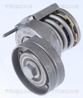 Натяжная планка, поликлиновой ремень TRISCAN 8641293018 (фото 1)