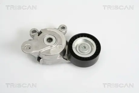 Натяжная планка, поликлиновой ремень TRISCAN 8641293019