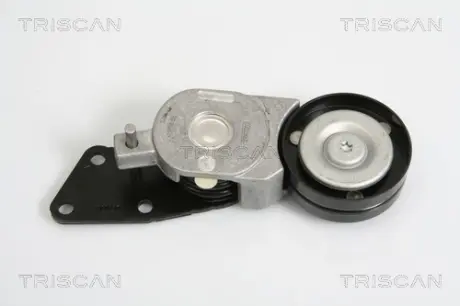 Натяжная планка, поликлиновой ремень TRISCAN 8641293020