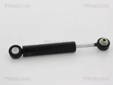 Амортизатор, поликлиновой ремень TRISCAN 8641293045