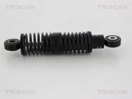 Амортизатор, поликлиновой ремень TRISCAN 8641293046