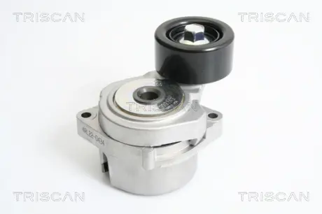 Натяжная планка, поликлиновой ремень TRISCAN 8641403002