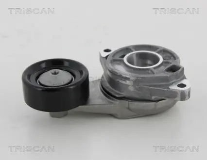 Натяжной ролик, поликлиновой ремень TRISCAN 8641403007