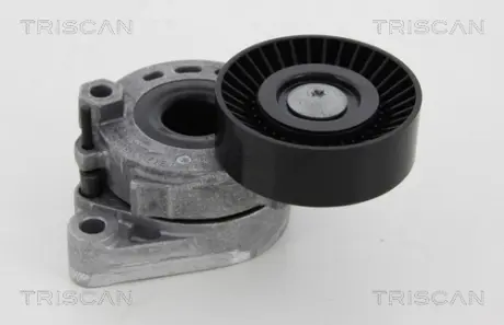 Натяжной ролик, поликлиновой ремень TRISCAN 8641423002