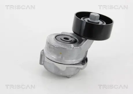 Натяжной ролик, поликлиновой ремень TRISCAN 8641432005