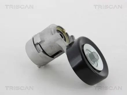 Натяжная планка, поликлиновой ремень TRISCAN 8641433002
