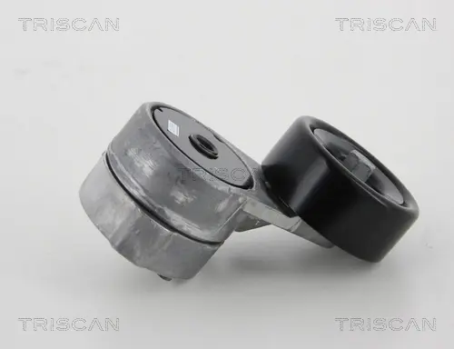 Натяжная планка, поликлиновой ремень TRISCAN 8641433005 (фото 1)