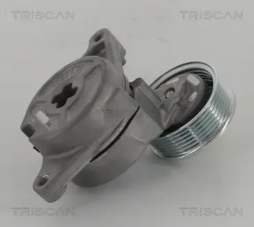 Натяжной ролик, поликлиновой ремень TRISCAN 8641502003