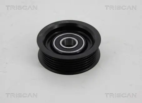 Паразитный / ведущий ролик, поликлиновой ремень TRISCAN 8641502007