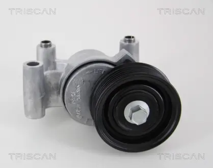 Натяжная планка, поликлиновой ремень TRISCAN 8641503002