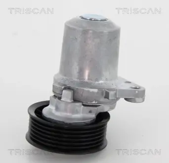 Натяжной ролик, поликлиновой ремень TRISCAN 8641503003