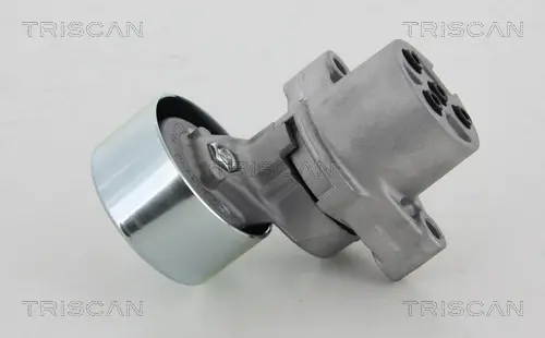 Натяжной ролик, поликлиновой ремень TRISCAN 8641503006 (фото 1)