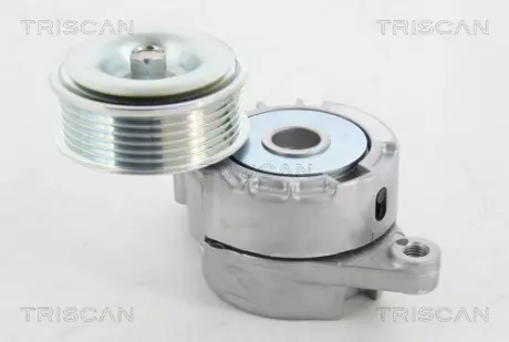 Натяжной ролик, поликлиновой ремень TRISCAN 8641503008