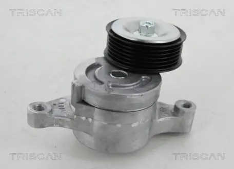 Натяжной ролик, поликлиновой ремень TRISCAN 8641503009
