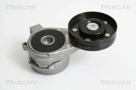 Натяжная планка, поликлиновой ремень TRISCAN 8641653003