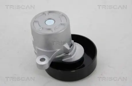 Натяжной ролик, поликлиновой ремень TRISCAN 8641693002