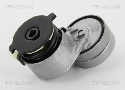 Натяжной ролик, поликлиновой ремень TRISCAN 8641693003 (фото 1)
