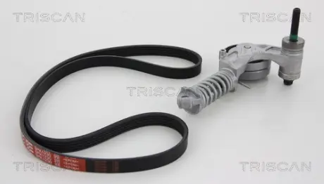 Поликлиновой ременный комплект TRISCAN 864210008