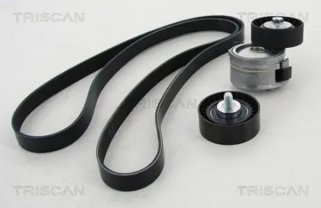 Поликлиновой ременный комплект TRISCAN 864210014