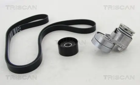 Поликлиновой ременный комплект TRISCAN 864210017